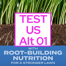 Syndication Test SKU Image 2