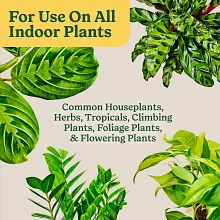 Indoor Potting Mix for All Plants image number null