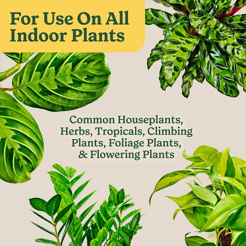 Indoor Potting Mix for All Plants image number 9