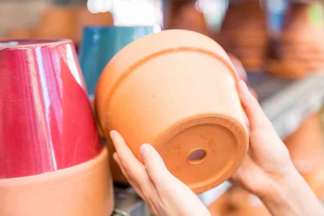 Pot Picker How to Pick the Right Pot for Your Plant | ScottsMiracle-Gro US