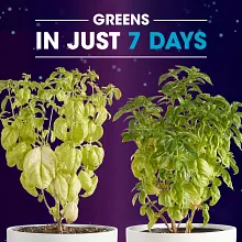 Miracle-Gro&reg; Rescue&trade; Outdoor Plant Potion&trade; image number null