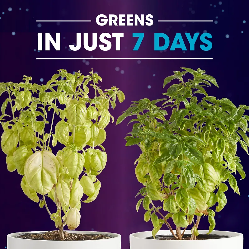 Miracle-Gro&reg; Rescue&trade; Outdoor Plant Potion&trade; image number 7.0