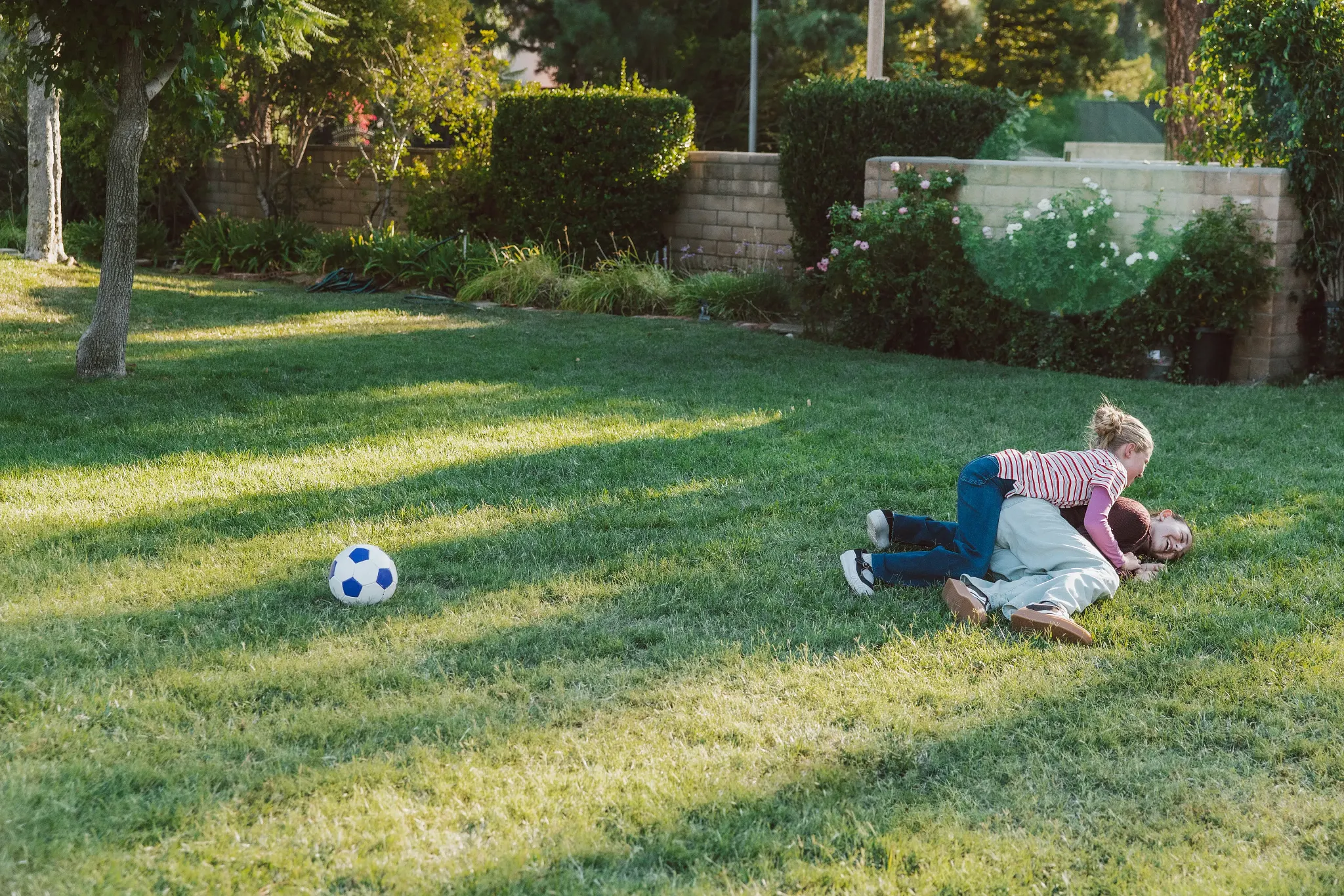 A photograph of a sun-drenched backyard lawn. In the background is a stone block wall lined with leafy bushes and a blooming rose bush. A blue and white soccer ball sits on the grass in the mid-left area. Toward the right, two people are playfully wrestling and tumbling together on the grass, a girl with blonde hair on top of another person with dark hair. The scene is lit with warm, golden-hour light from the right.
