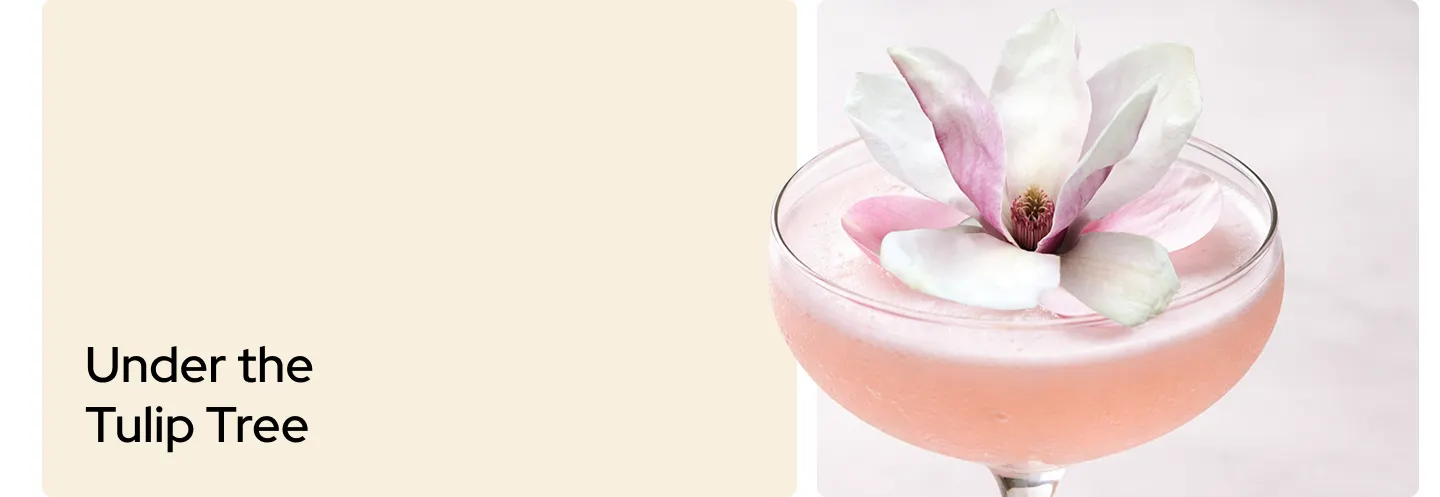 Under the Tulip Tree