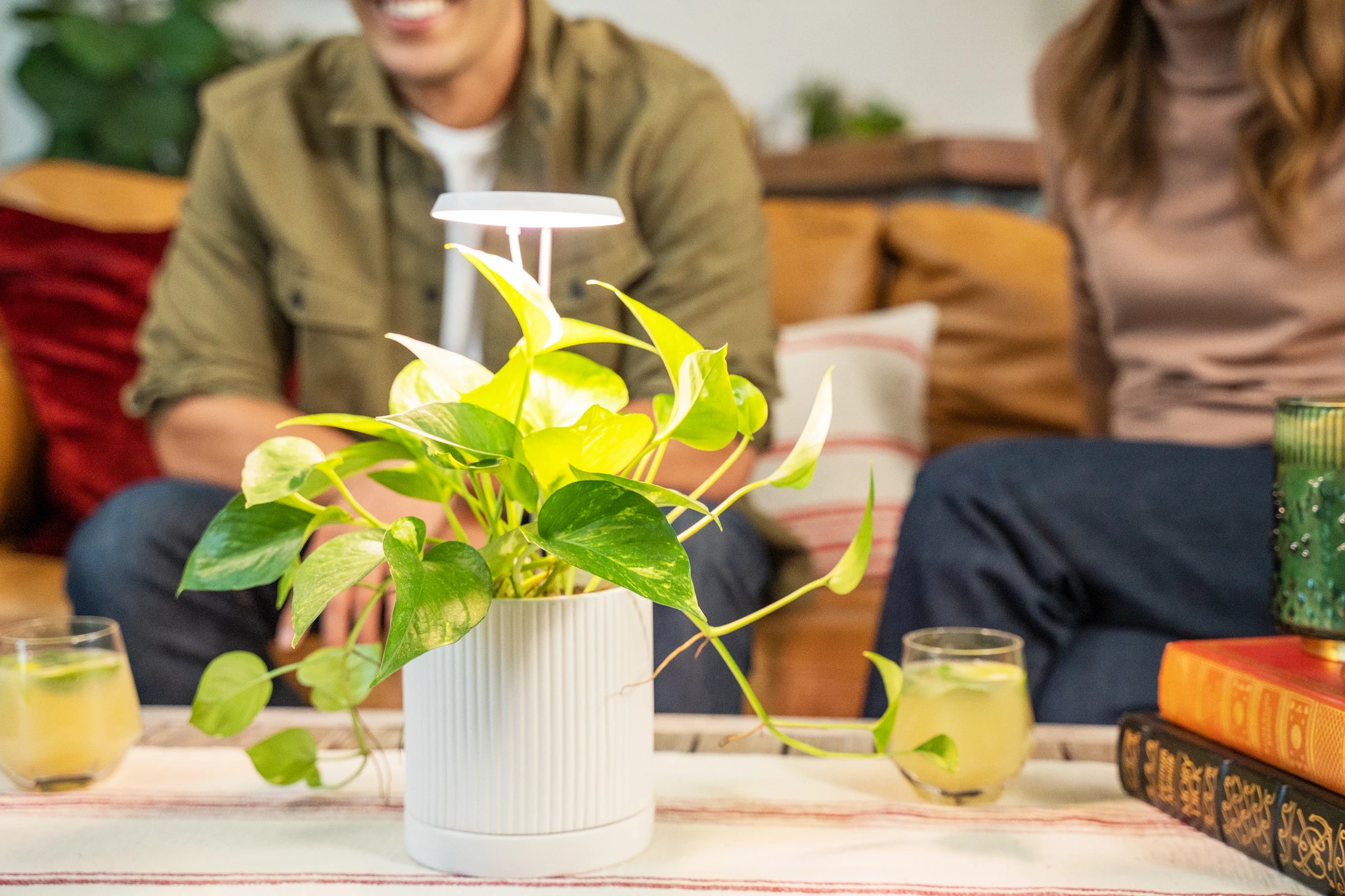 grow light
