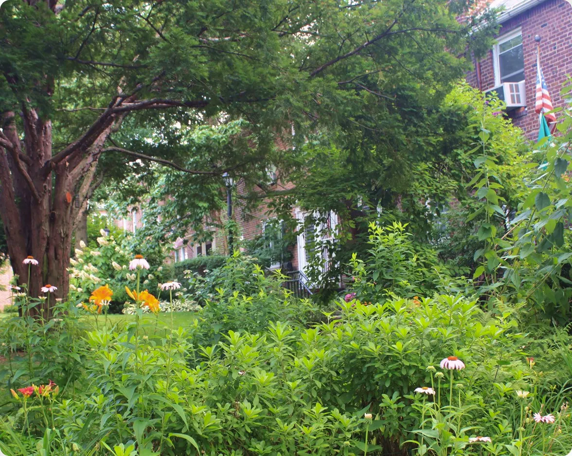 sunnyside gardens