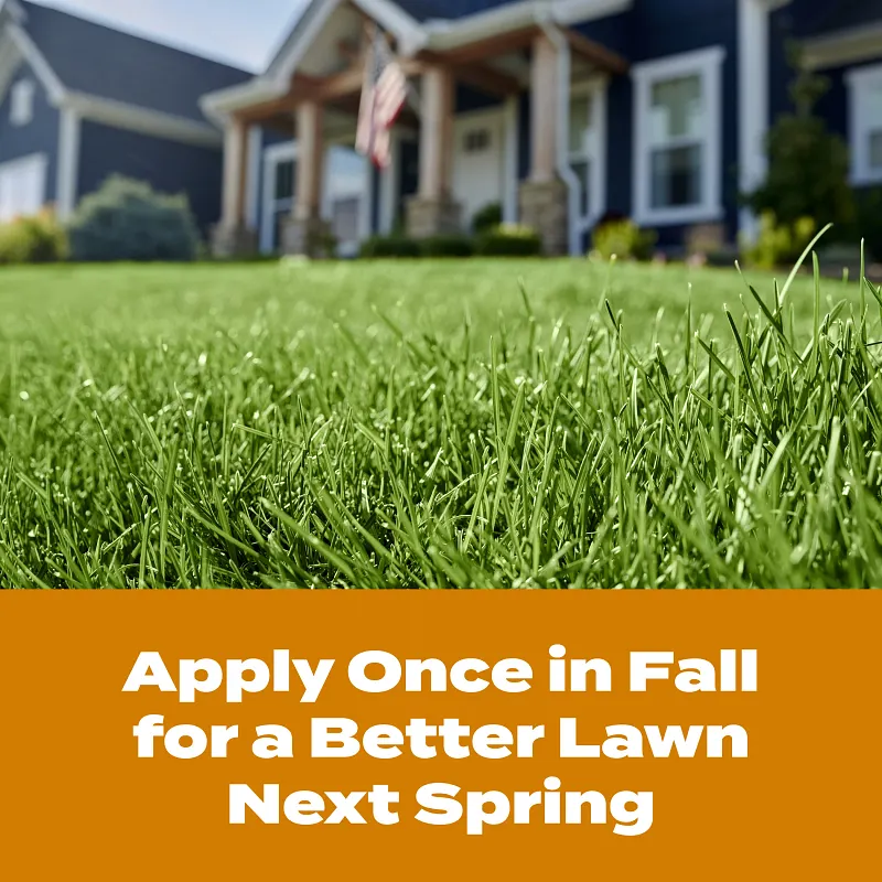 Scotts&reg; Turf Builder&reg; WinterGuard&reg; Fall Weed & Feed₅ image number 7.0