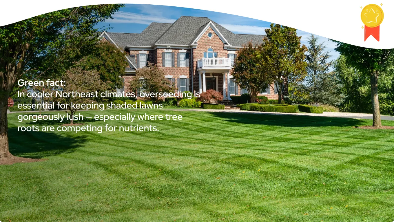 Weschester County New York