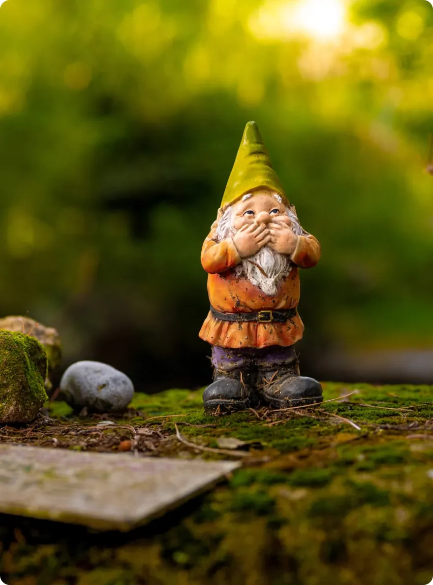 Gnomes