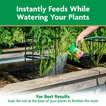 Miracle-Gro&reg; Water Soluble Tomato Plant Food image number null