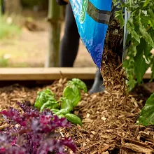 Nature Scapes&reg; Colour Enhanced Mulch - Natural image number null