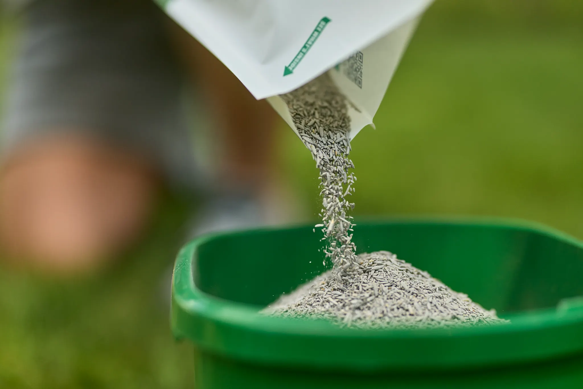 Pouring grass seed into a spreader hopper.