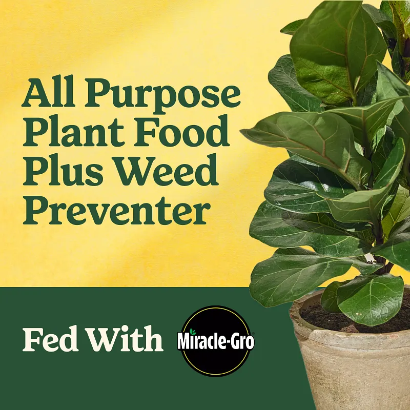 Miracle-Gro&reg; Shake 'N Feed All Purpose Plant Food Plus Weed Preventer₁ image number 2.0