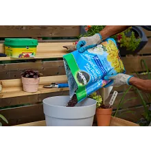 Moisture Control Potting Mix image number null