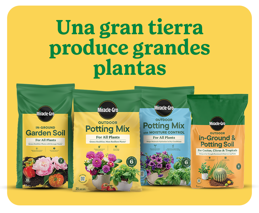 collection of miracle gro outddoor products with text overlay Una gran tierra produce grandes plantas