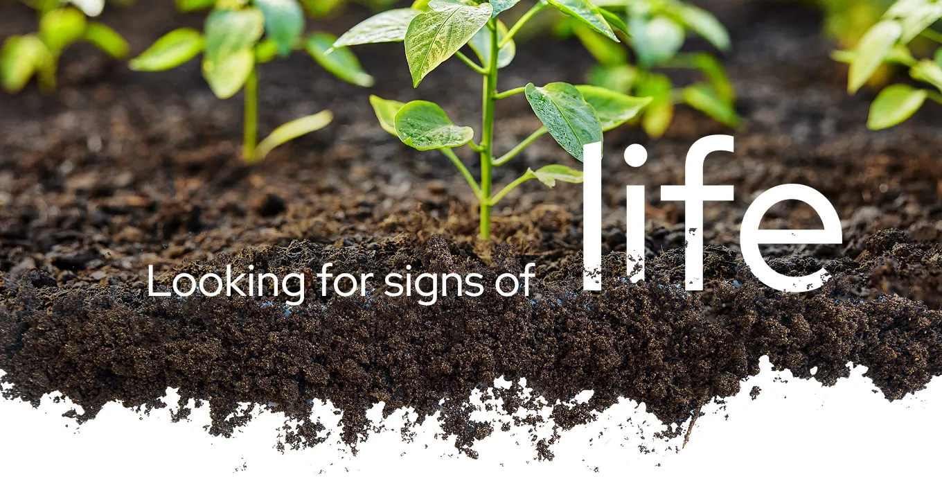 Looking for signs of Life