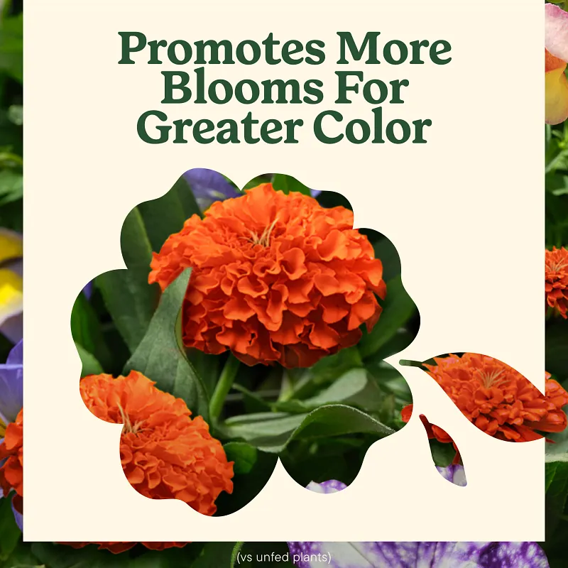 Miracle-Gro&reg; Liquafeed Bloom Booster Flower Food image number 6.0