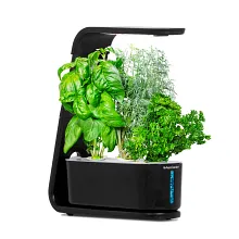 AeroGarden Sprout with Gourmet Herb Seed Pod Kit image number null
