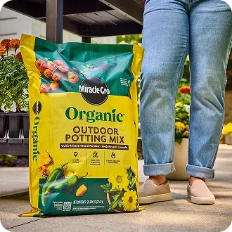 Potting Mix