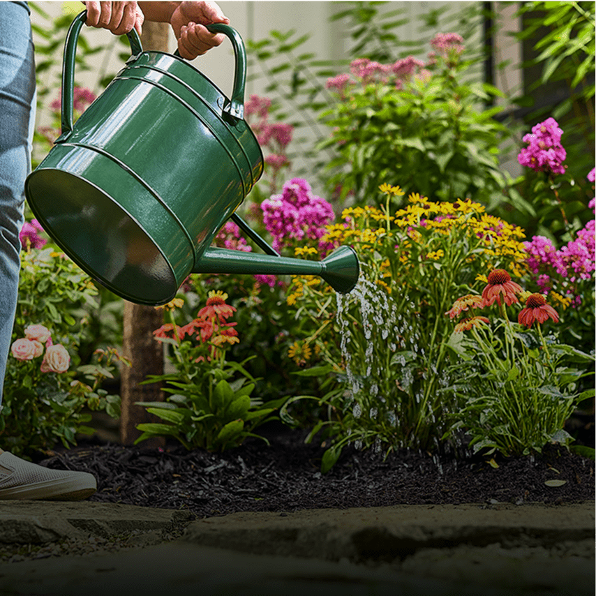 watering can watering flowers