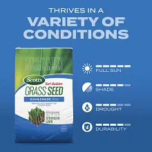Scotts Turf Builder Grass Seed Sun & Shade Mix and Scotts Turf Builder Liquid Starter Lawn Food image number null