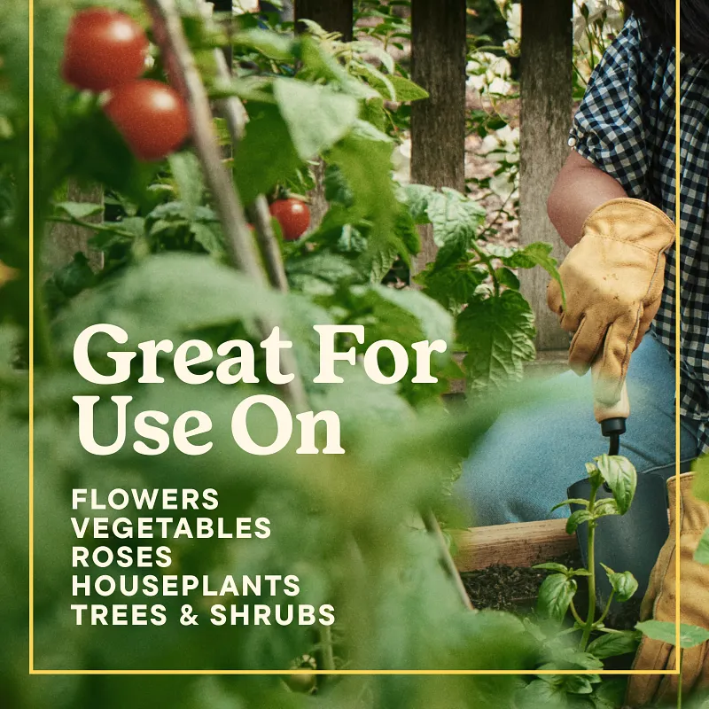 Miracle-Gro&reg; LiquaFeed&reg; All Purpose Plant Food image number 9.0