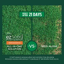 Scotts&reg; EZ Seed&reg; Patch & Repair Bermudagrass image number null