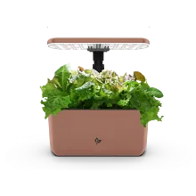 AeroGarden Harvest Lite, Mocha image number null