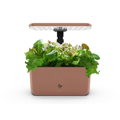 AeroGarden Harvest Lite, Mocha