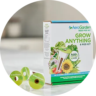 Seed Kits