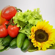 AeroGarden Grow Anything Seed Pod Kit image number null