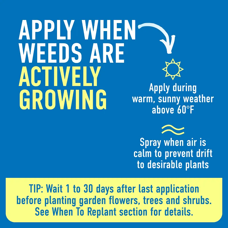 Roundup&reg; Weed & Grass Killer₄ Refill image number 6.0