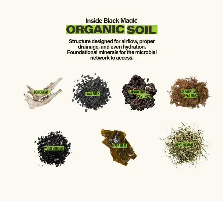 Inside Black Magic Organic Soil - Structure designed for airflow, proper drainage, and even hydration. Foundational minerals for the microbial network to access. Raw ingredients include: wood biochar, lava rock, sphagnum peat moss, bone meal, earthworm castings, kelp meal, alfalfa meal.