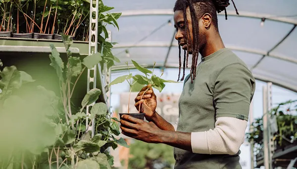 Person tending to a potted plant
