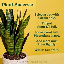 Indoor Potting Mix for All Plants image number null