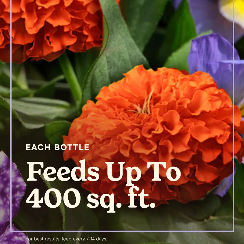 Miracle-Gro&reg; Liquafeed Bloom Booster Flower Food image number 3.0