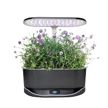 AeroGarden Lots of Lavender Seed Pod Kit image number null