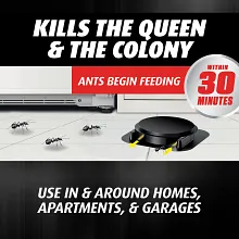Ortho Orthene Ant Killer Ant Bait image number null