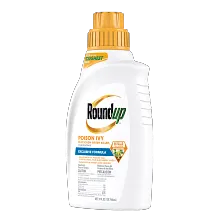 Roundup&reg; Poison Ivy Plus Tough Brush Killer₂ Concentrate image number null