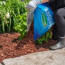 Nature Scapes&reg; Colour Enhanced Mulch - Sierra Red image number null