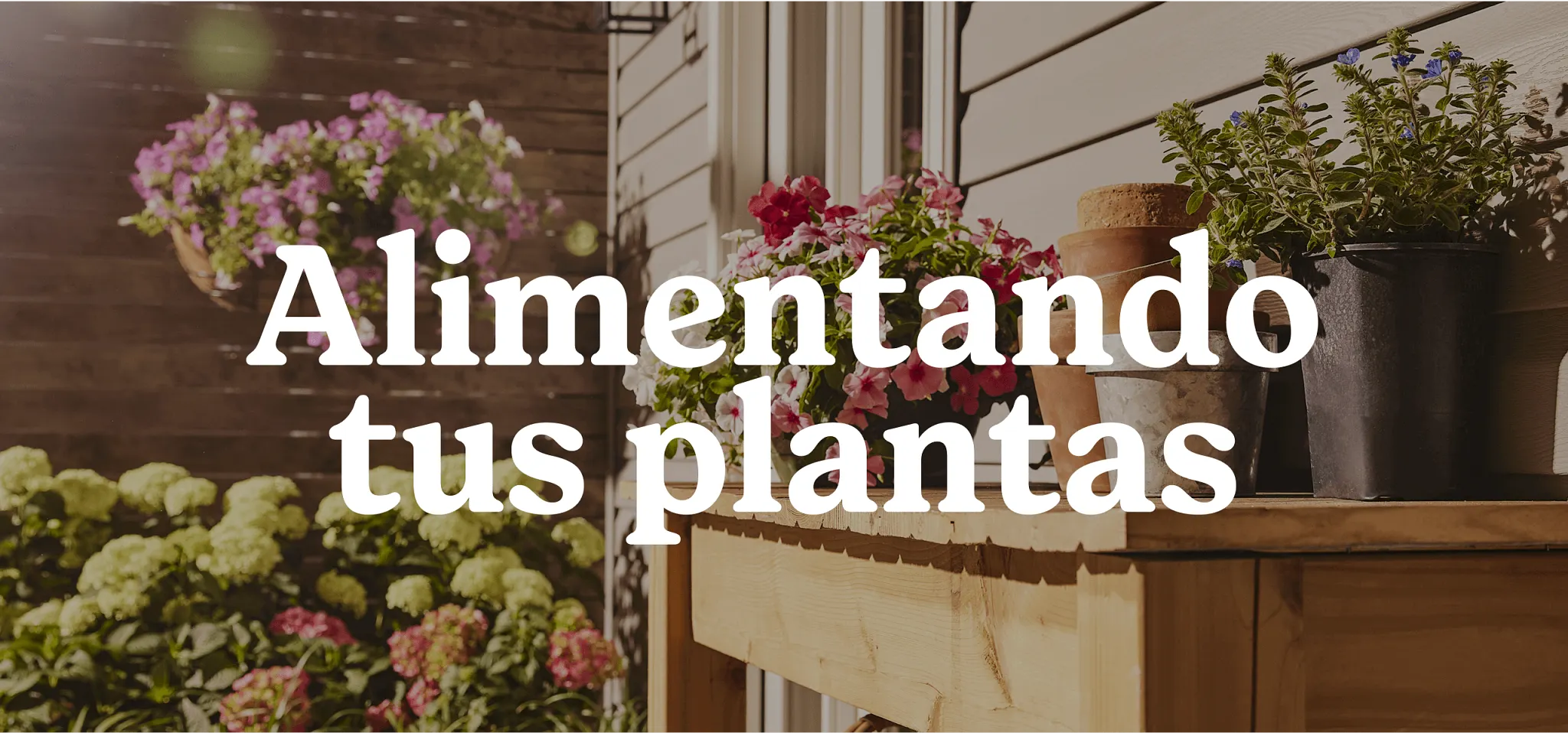 table outside of a building with planters and other flowers with text overlay Alimentando tus plantas 