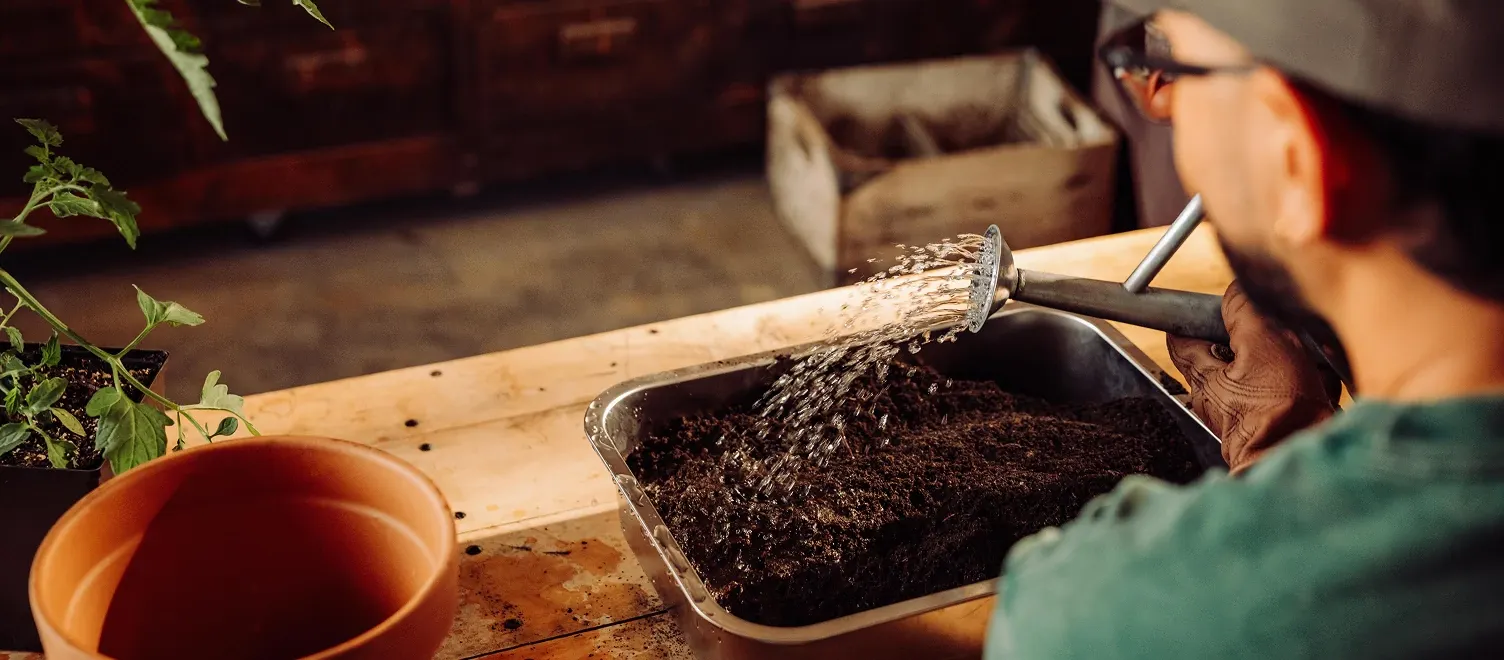 Person watering soil with a watering can.
