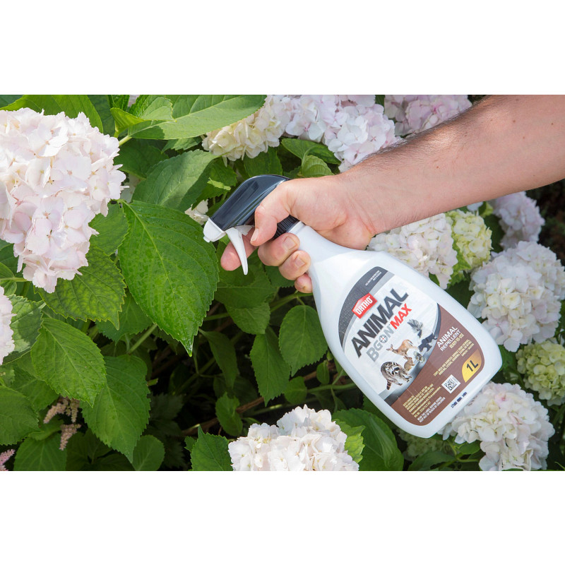 Ortho&reg; Animal B Gon&reg; MAX Animal Repellent Ready-To-Use image number 3.0
