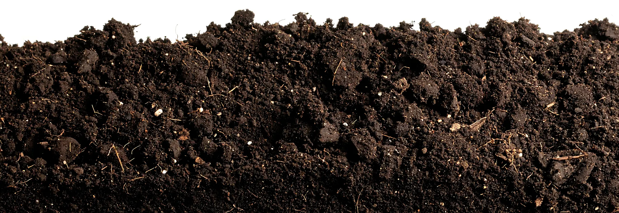 High-contrast, close-up view of dark, textured soil mounds.