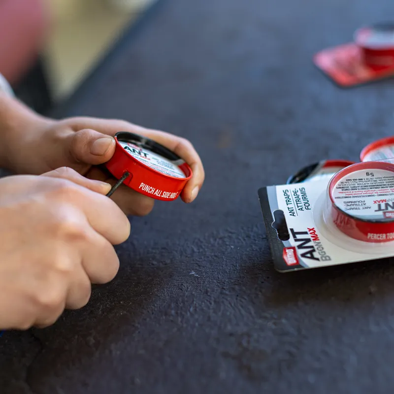 Ortho&reg; Ant B Gon&reg; MAX Ant Traps image number 3.0