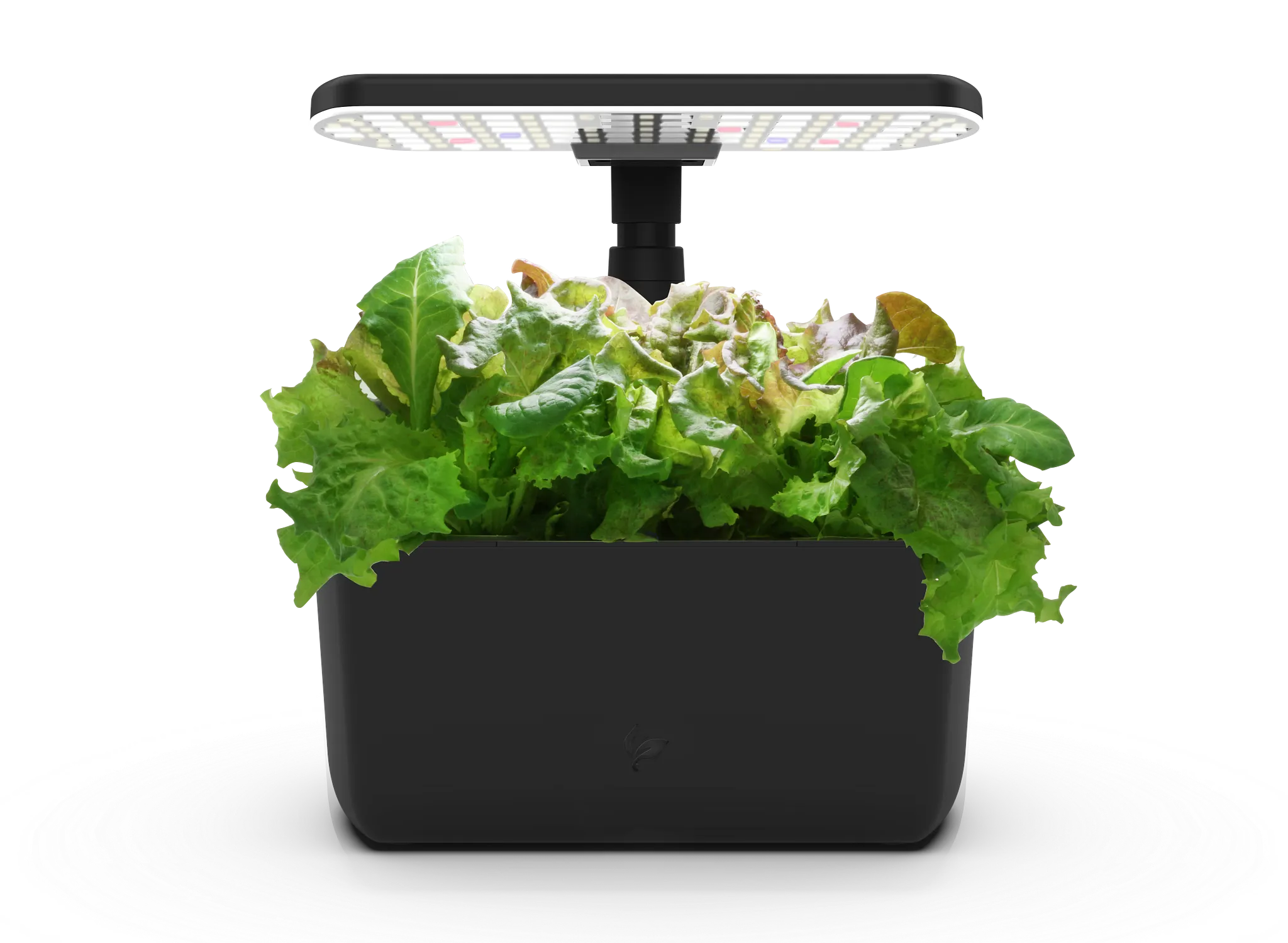 Harvest Lite - Thumbnail 2