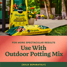 Miracle-Gro&reg; Shake 'N Feed&reg; Tomato, Fruit & Vegetable Plant Food image number null