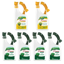 Scotts&reg; Liquid Turf Builder&reg; Bundle image number null