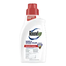 Roundup&reg; Weed & Grass Killer₄ Concentrate image number null