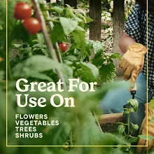 Miracle-Gro&reg; Shake 'N Feed All Purpose Plant Food image number null